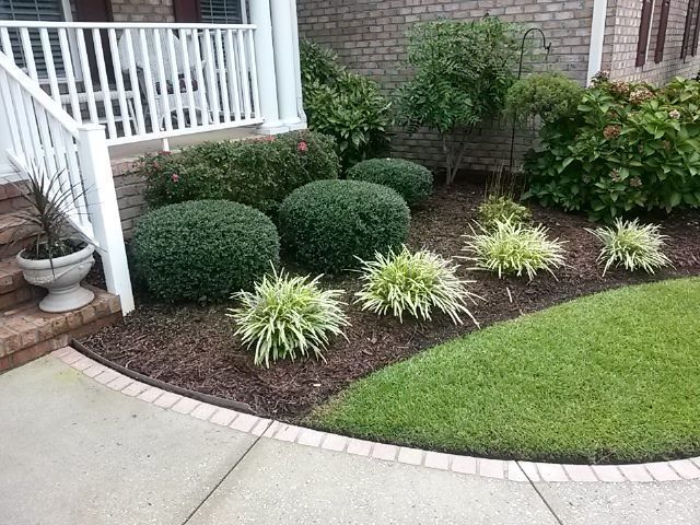 Front yard landscaping with rounded shrubs, ornamental grasses, mulch, and a curved concrete walkway by a porch