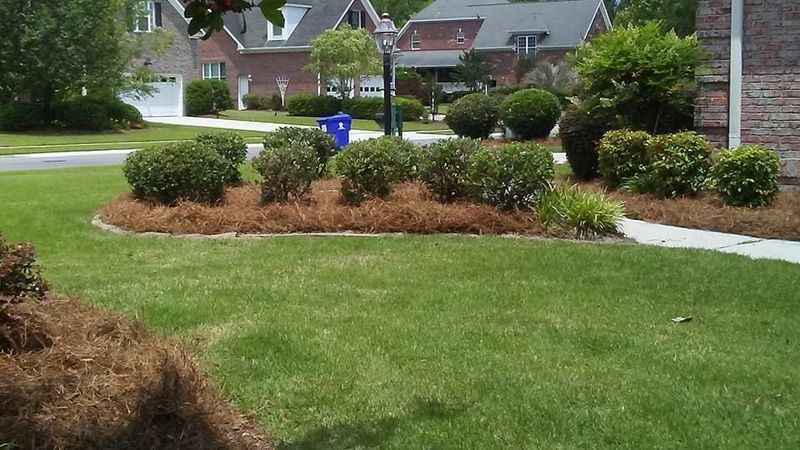 Suburban front yard with green lawn, shrubs, mulch beds, and a sidewalk in front of houses.