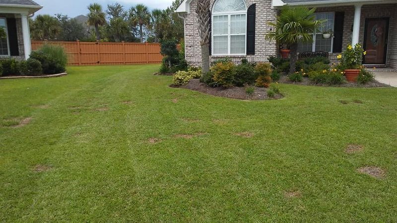 Front lawn with trimmed grass beside a brick house and flower bed, with a wooden fence in the background.