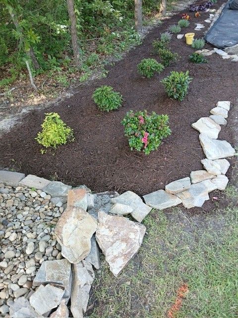 Landscaped garden bed with small shrubs, dark mulch, and a stone border beside a gravel path