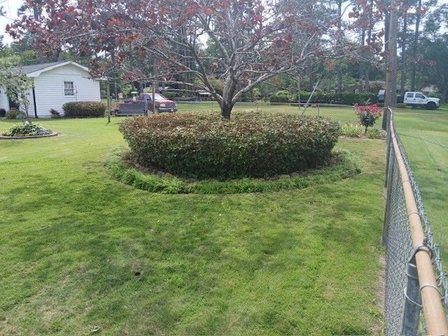 Suburban front yard with a circular shrub bed, green lawn, trees, and a chain-link fence along the right side.