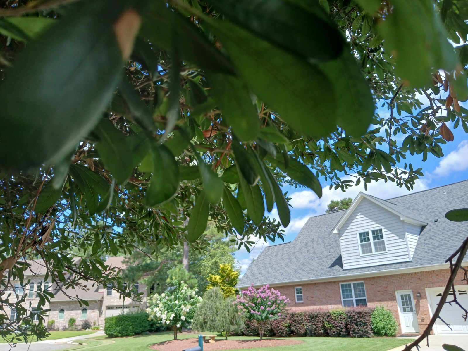Suburban house with brick and white siding, framed by green tree leaves under a blue sky.