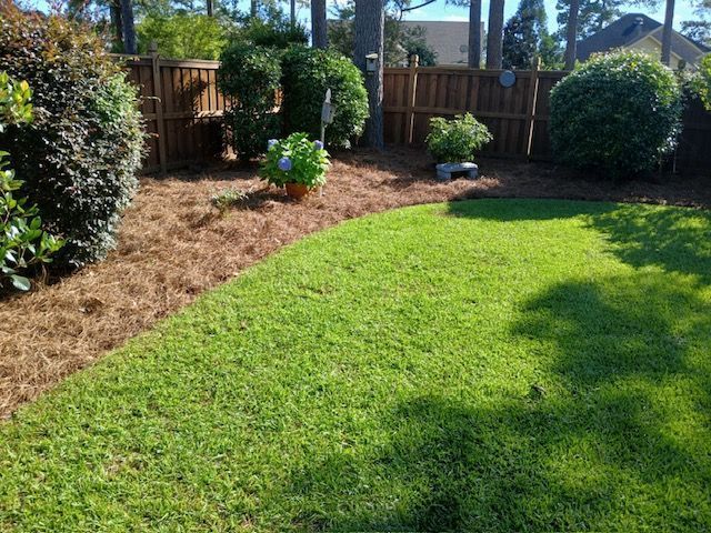 Backyard lawn with curved mulch bed, small shrubs, and wooden fence in sunlight