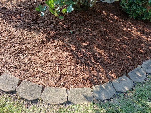 Curved stone border around a mulched garden bed with small green plants and grass nearby