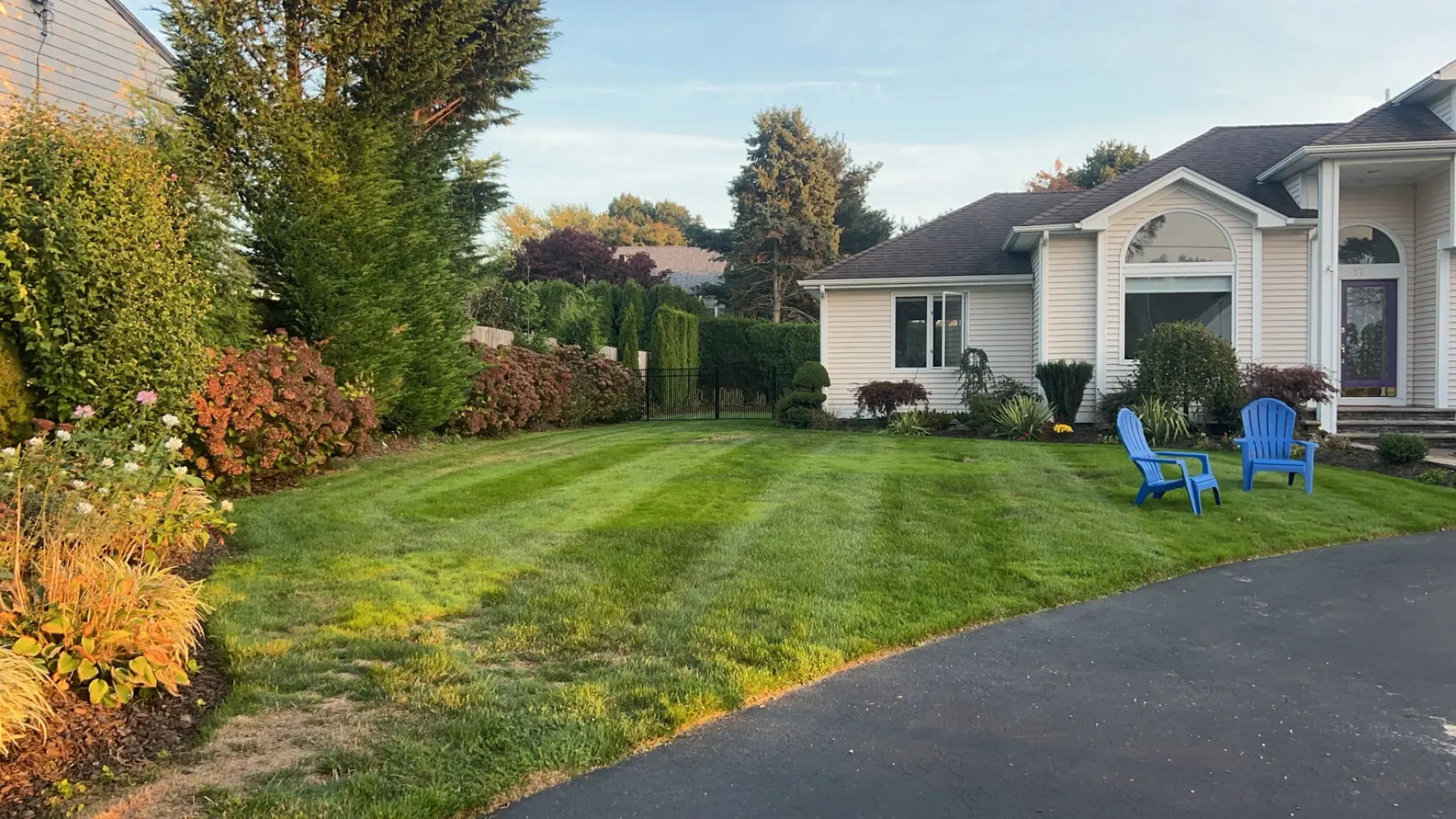 A suburban house with a mowed lawn, manicured shrubs, and two blue Adirondack chairs on the grass.