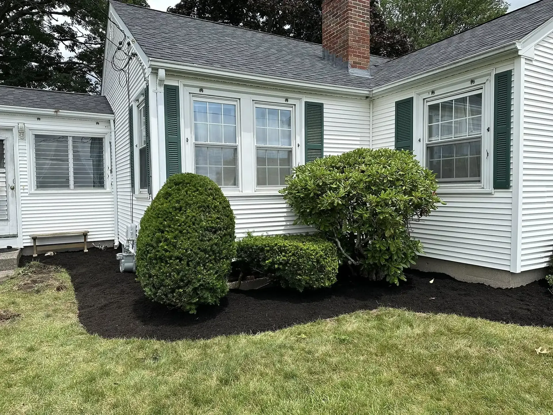 Plant, Tree, Shrub & Flower Installation