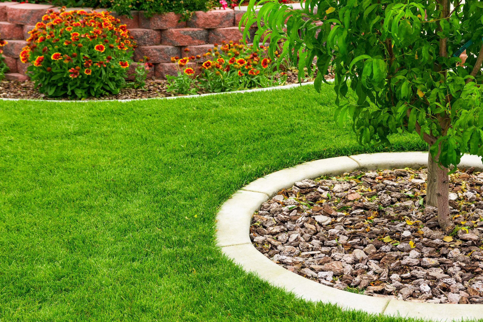 A vibrant green lawn featuring a tree surrounded by a circular stone border with mulch, near red brick garden beds.