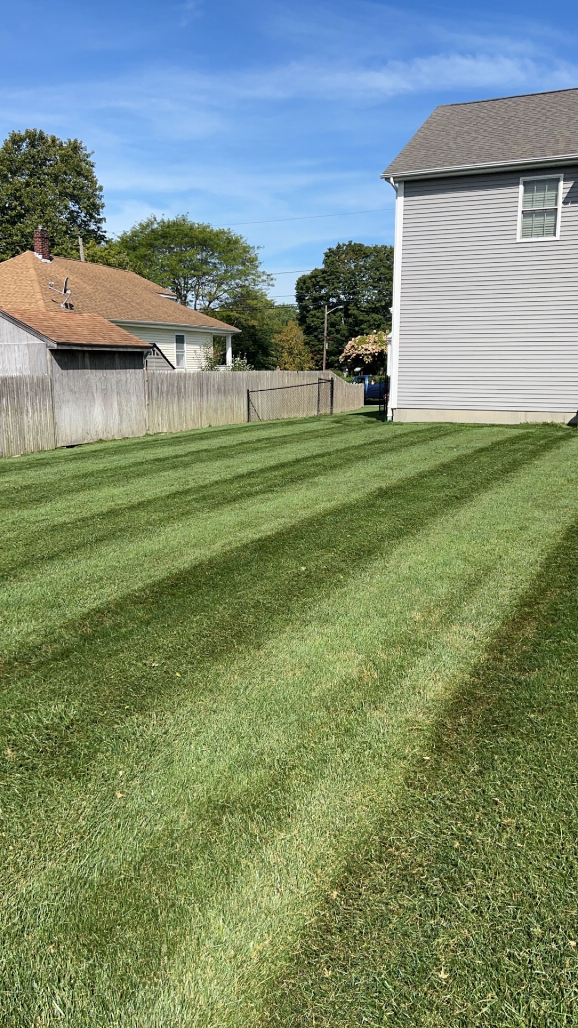 A freshly mowed residential lawn with clear stripes, next to a house with gray siding under a bright blue sky.