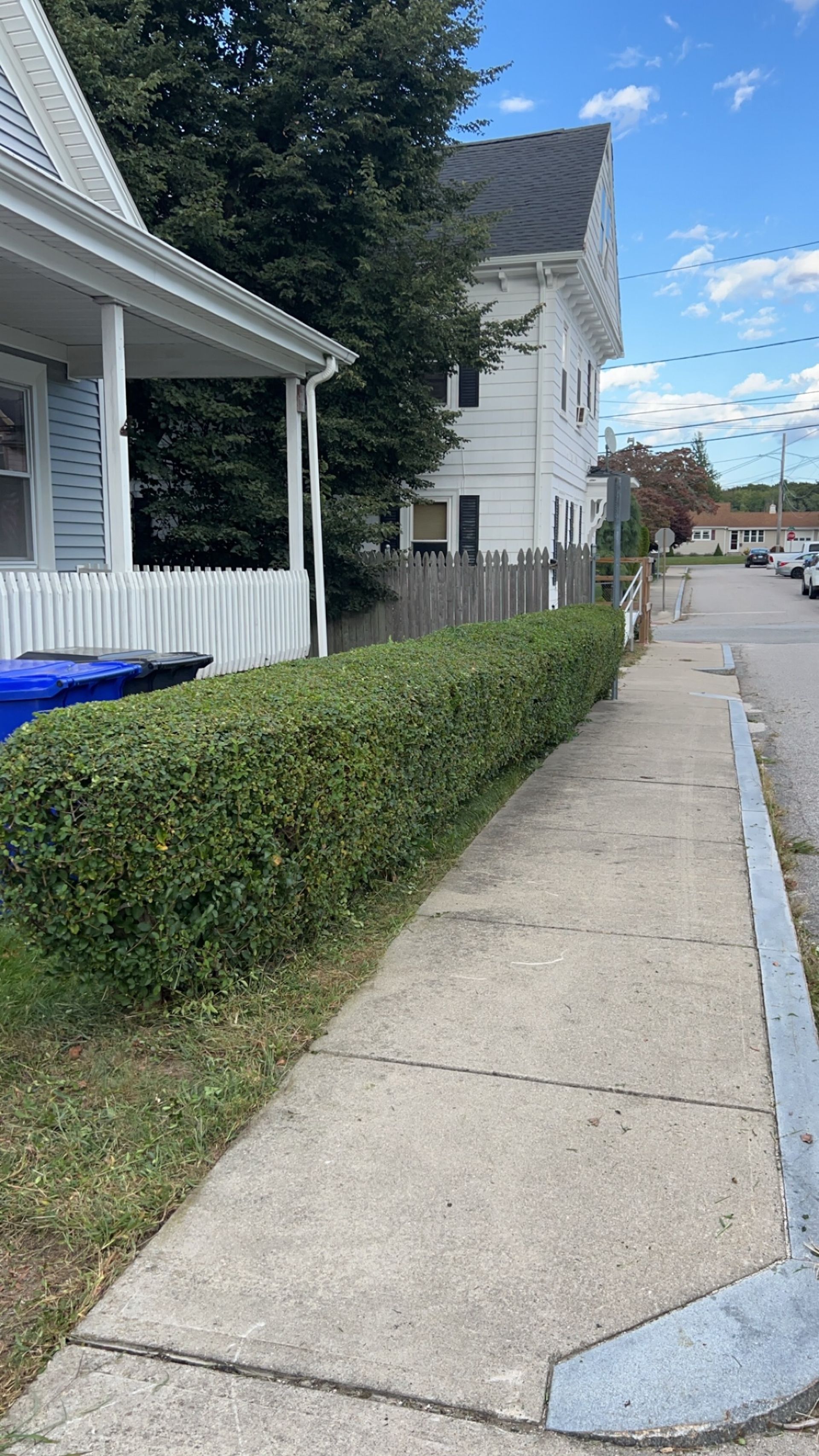 A sidewalk lined by a well-trimmed green hedge in front of a house, with a street and blue sky in the background.