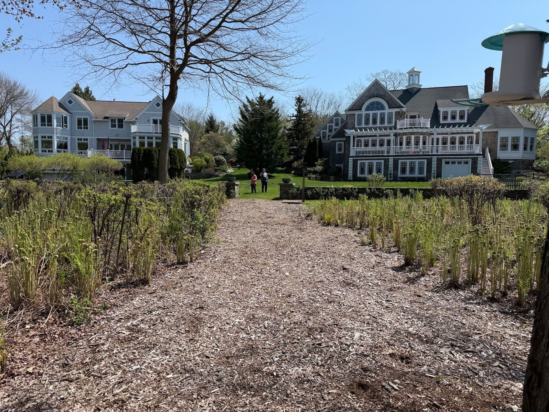 A woodchip path leads between two large, multi-story houses toward a sunny lawn and distant trees under a clear blue sky.