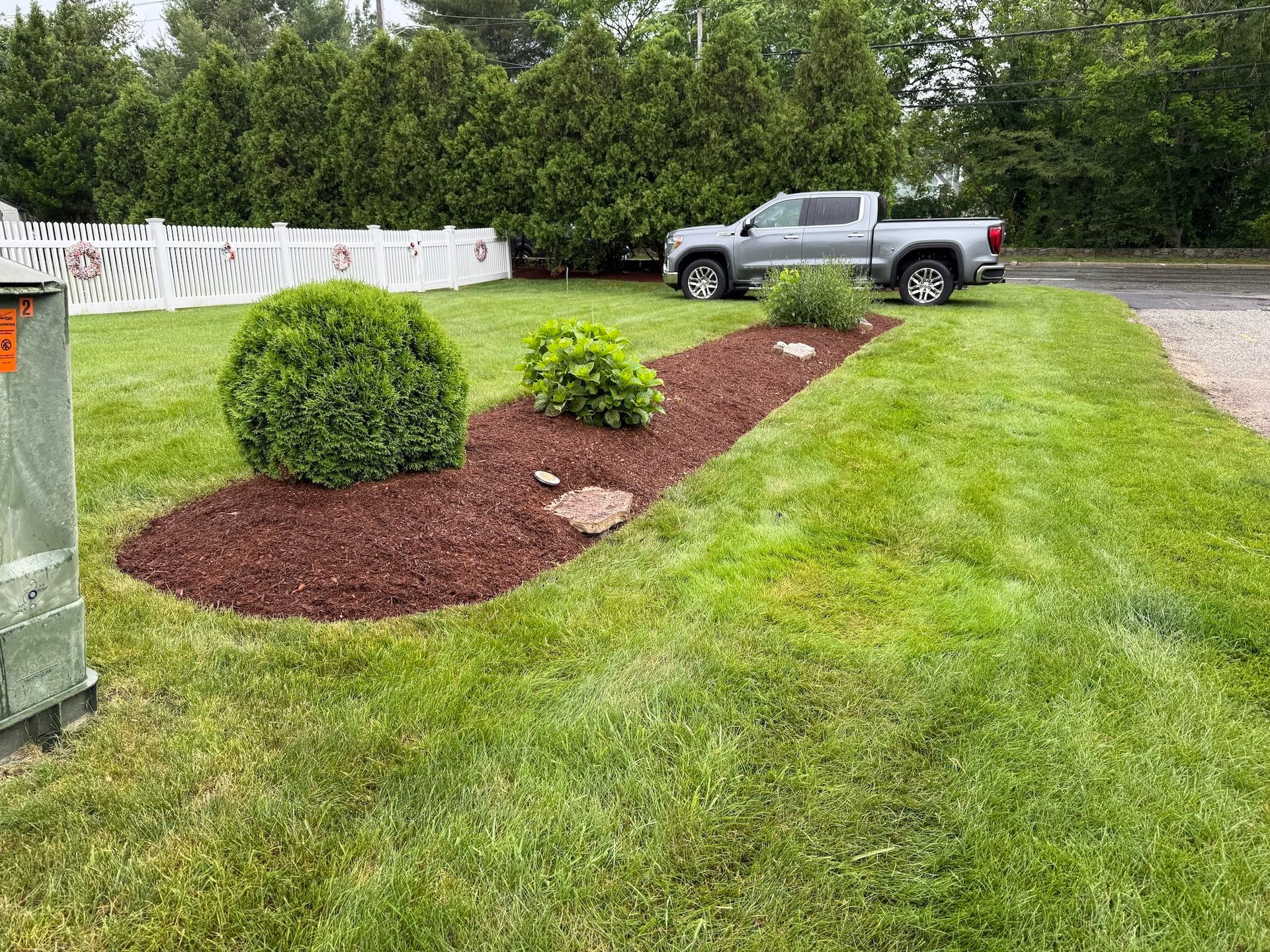 A mulch bed with two green shrubs sits in a grassy yard, with a white fence and a gray pickup truck in the background.