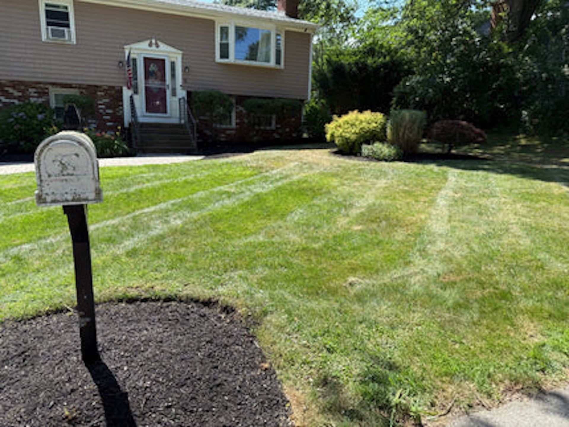 A white mailbox stands in a mulched bed in the foreground of a manicured lawn leading to a light-colored suburban home.