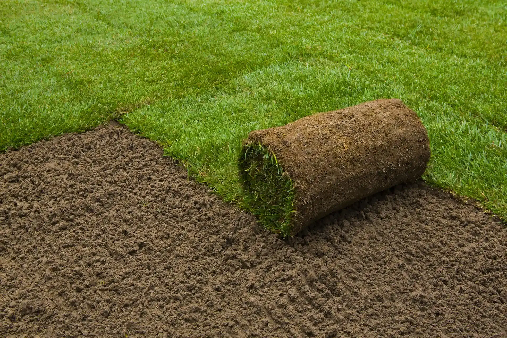 A roll of green sod sits on loose, dark brown soil next to an already laid patch of grass.