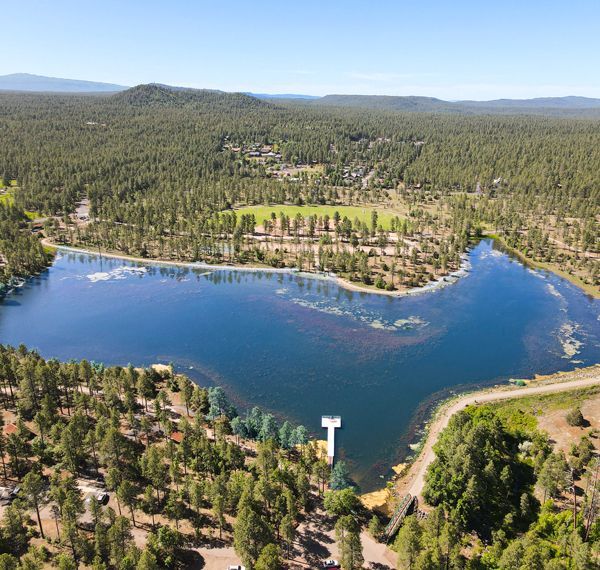 Adopt an Acre at Woodland Lake Park