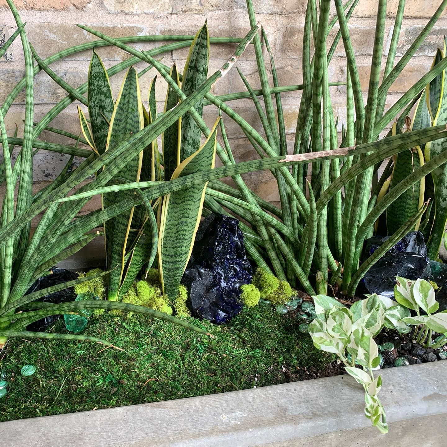 Plant Nursery 