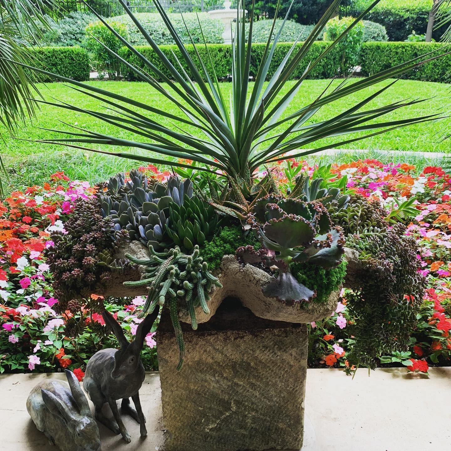 Plant Nursery 