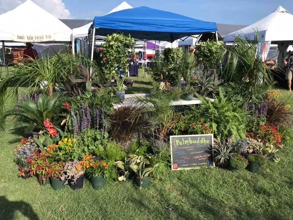 Plant Nursery 