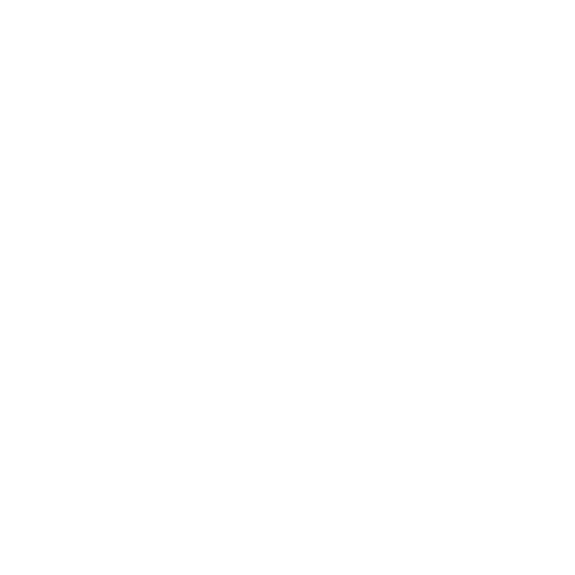 Focused Training Logo