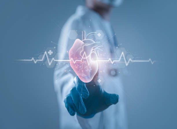 A doctor is holding a heart in his hand and pointing at it.