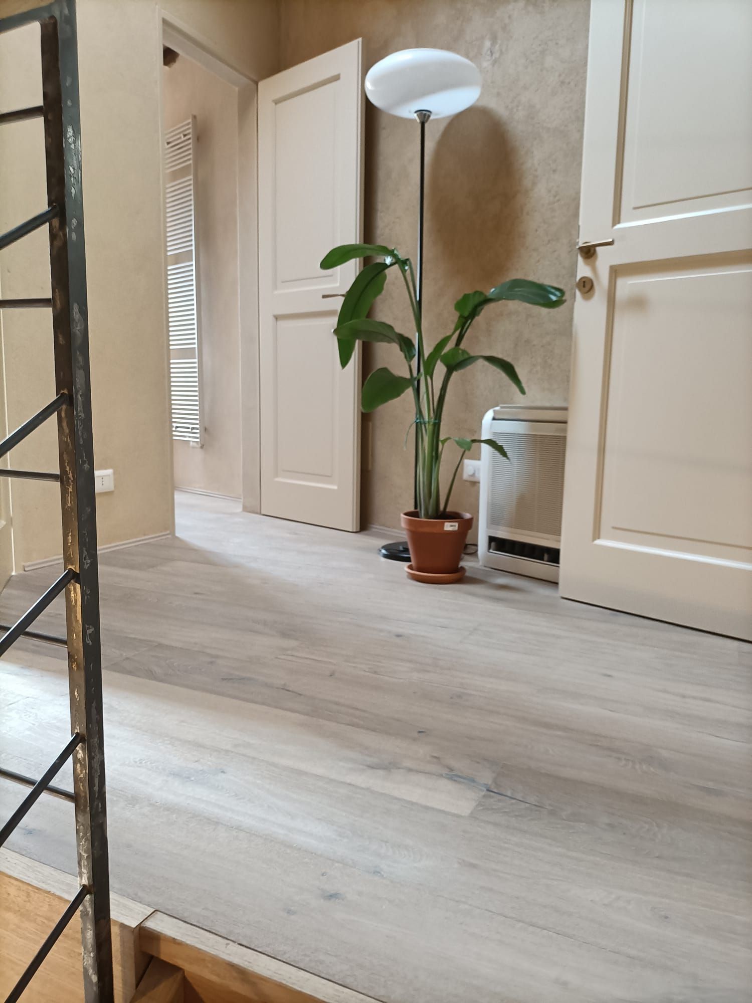 Luminoso corridoio con una pianta in vaso, porte bianche e una lampada da terra su un pavimento in legno chiaro.