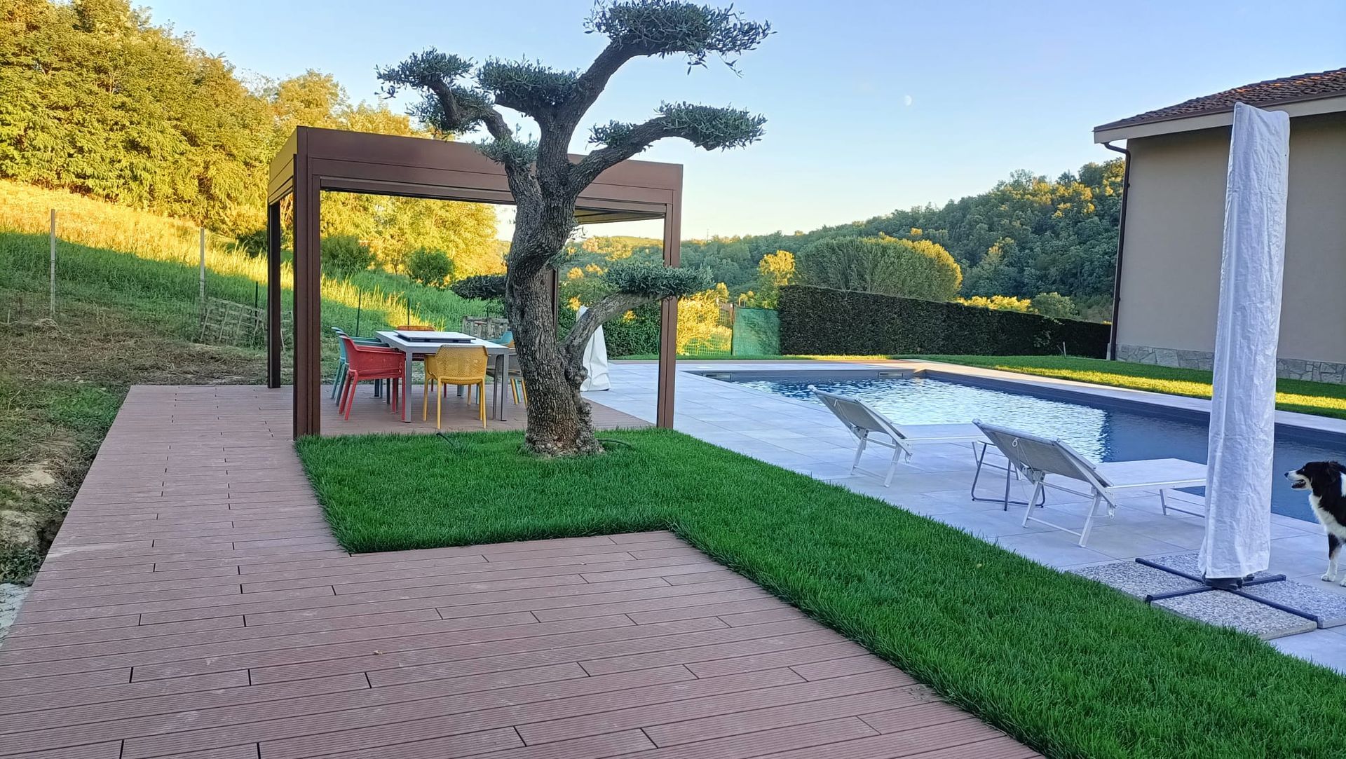 Moderno patio sul retro con piscina, pergolato con posti a sedere e prato ben curato al tramonto