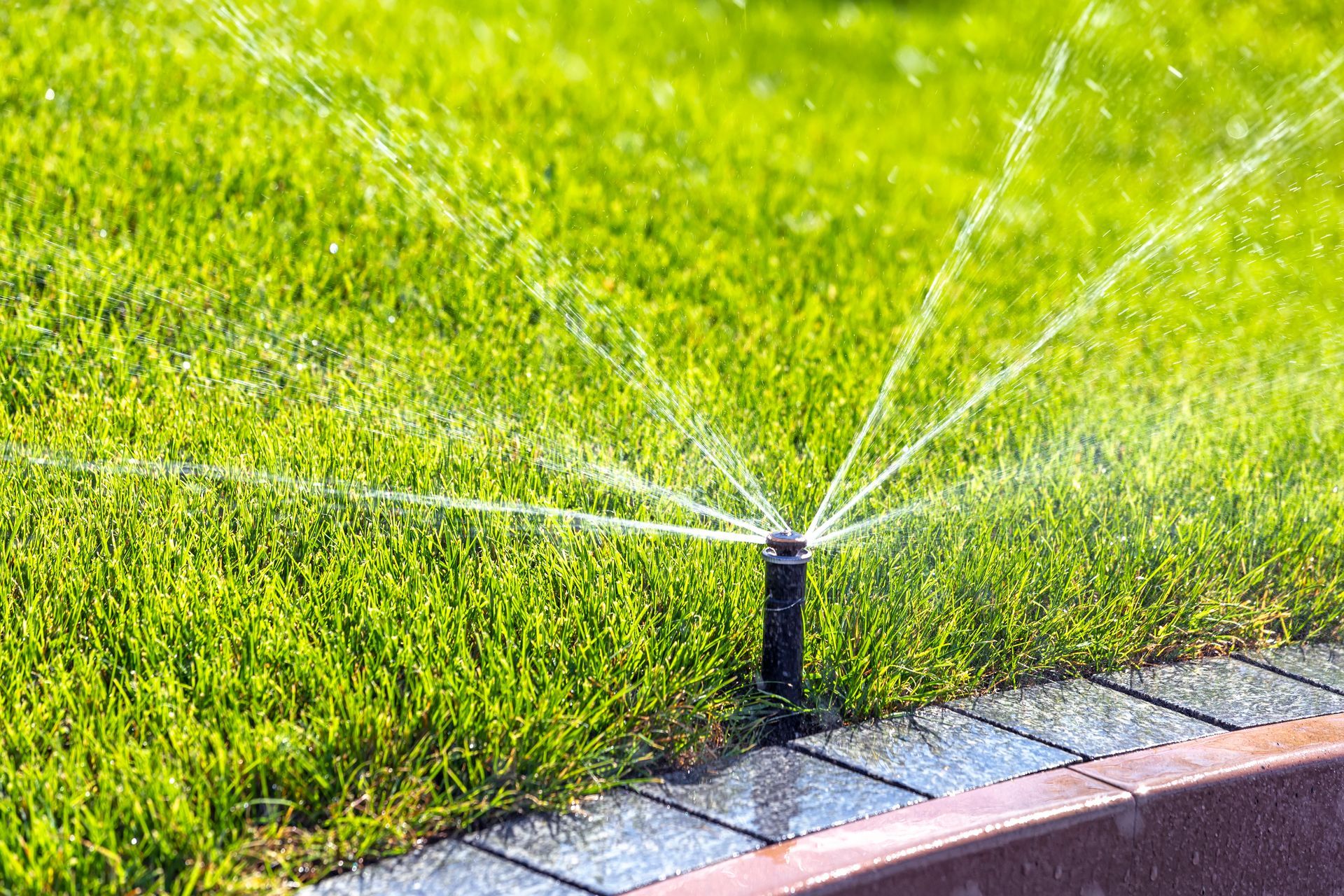 A sprinkler head spraying water over a green lawn next to a paved stone border.