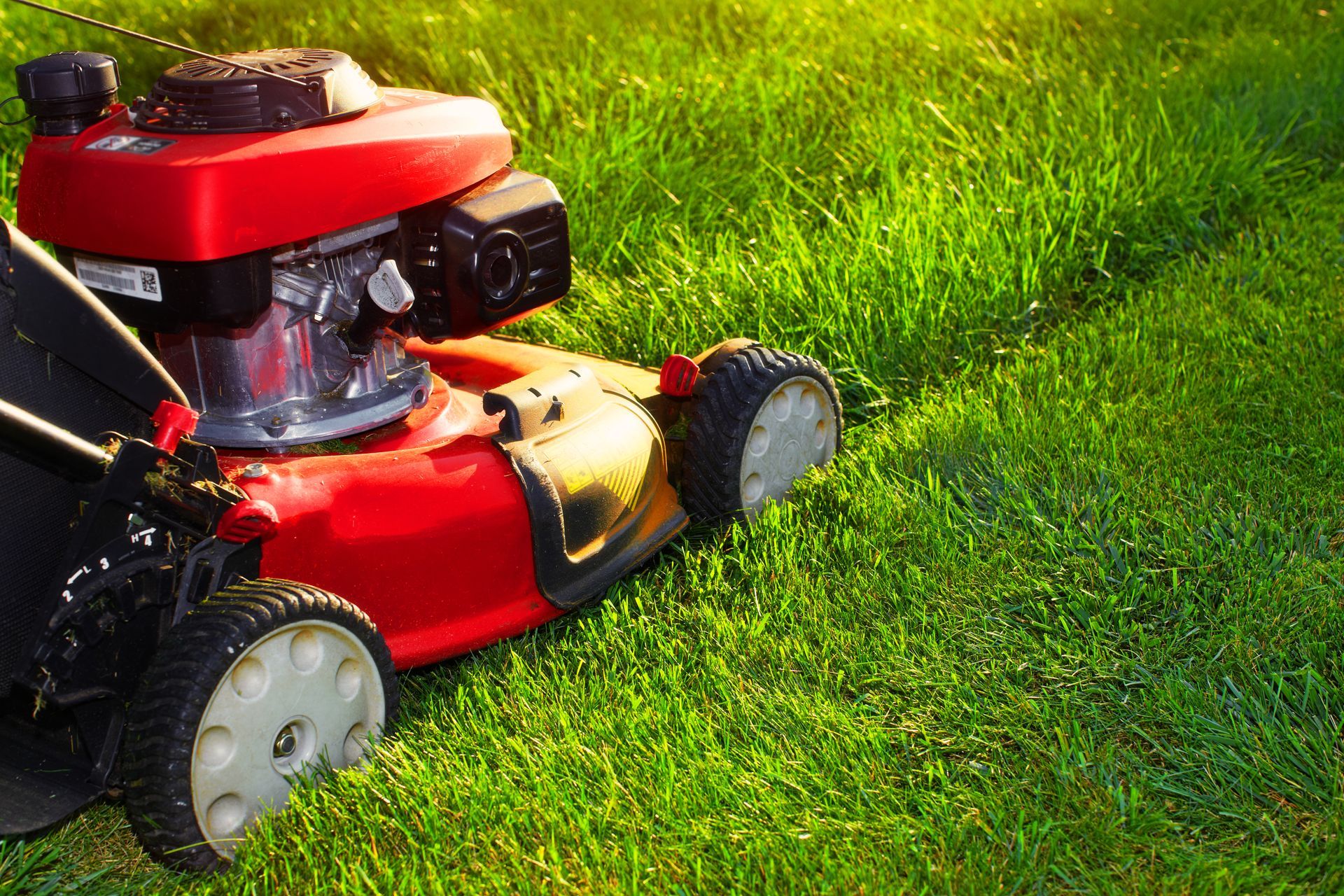 A red lawnmower cutting through a bright green, sunlit lawn.