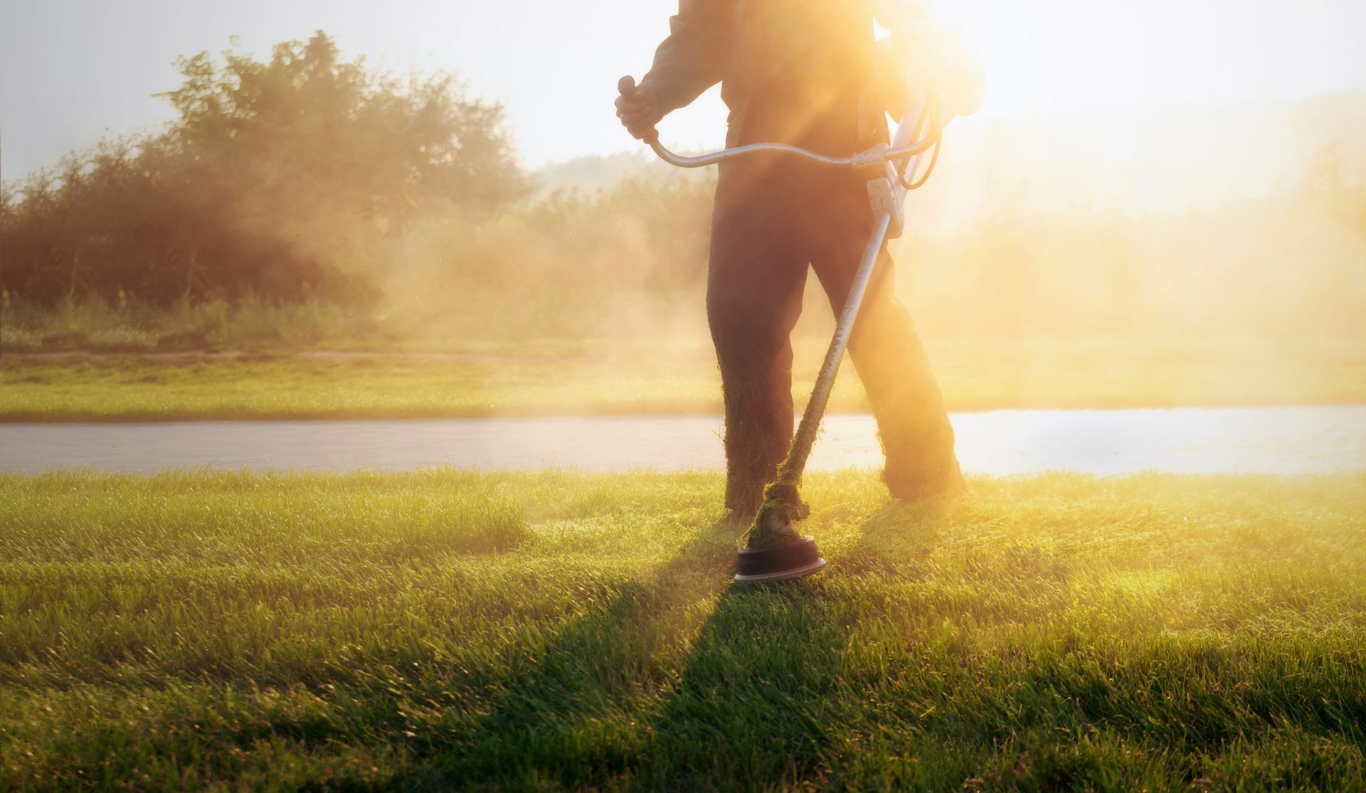 A person uses a string trimmer on a grassy lawn during a sunny, hazy day.