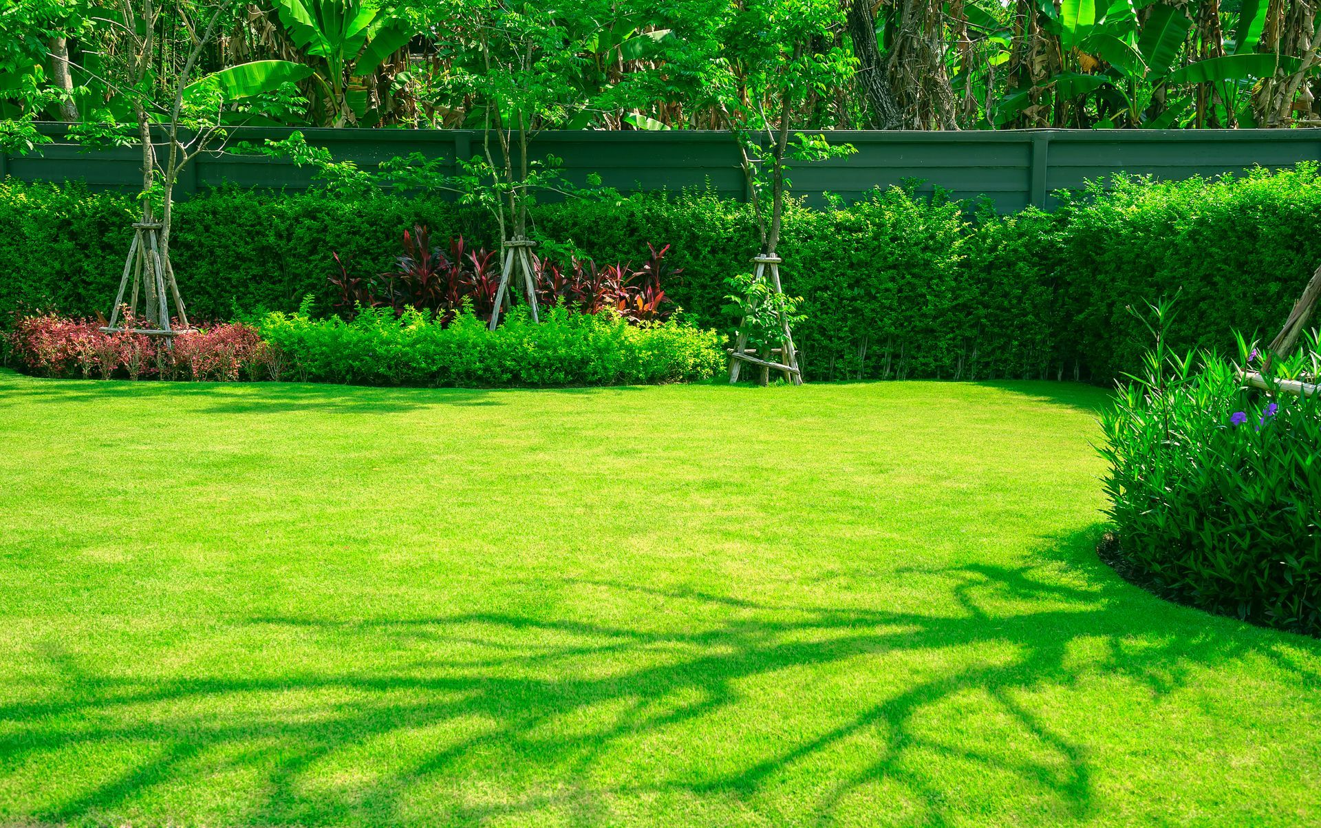 A manicured green lawn with a tree shadow stretching across the grass, bordered by shrubs and a dark fence in the back.