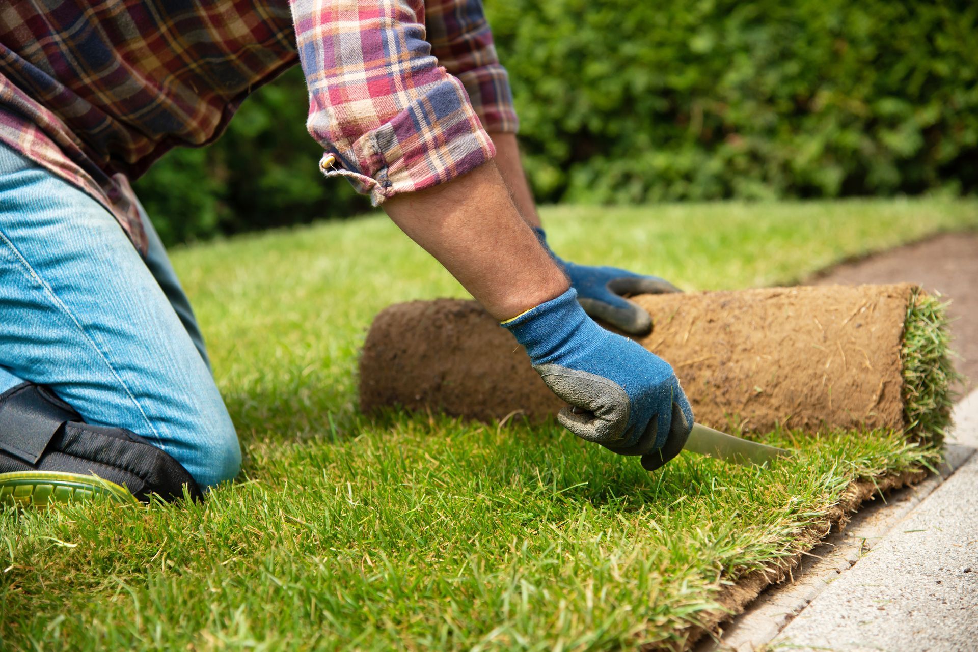 A person wearing work gloves kneels on grass, using a knife to trim a roll of new sod along a concrete edge.