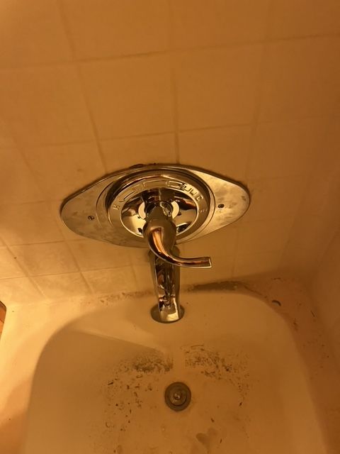 Showerhead fixture in a bathtub, with a silver handle and backplate; walls are tiled.