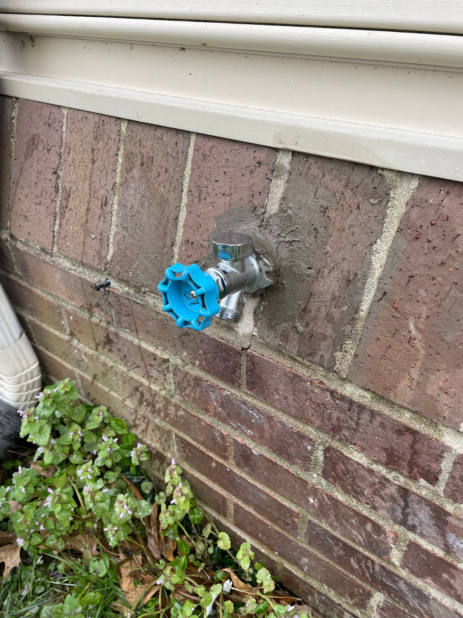 Blue-handled outdoor water faucet mounted on a red brick wall next to green plants.