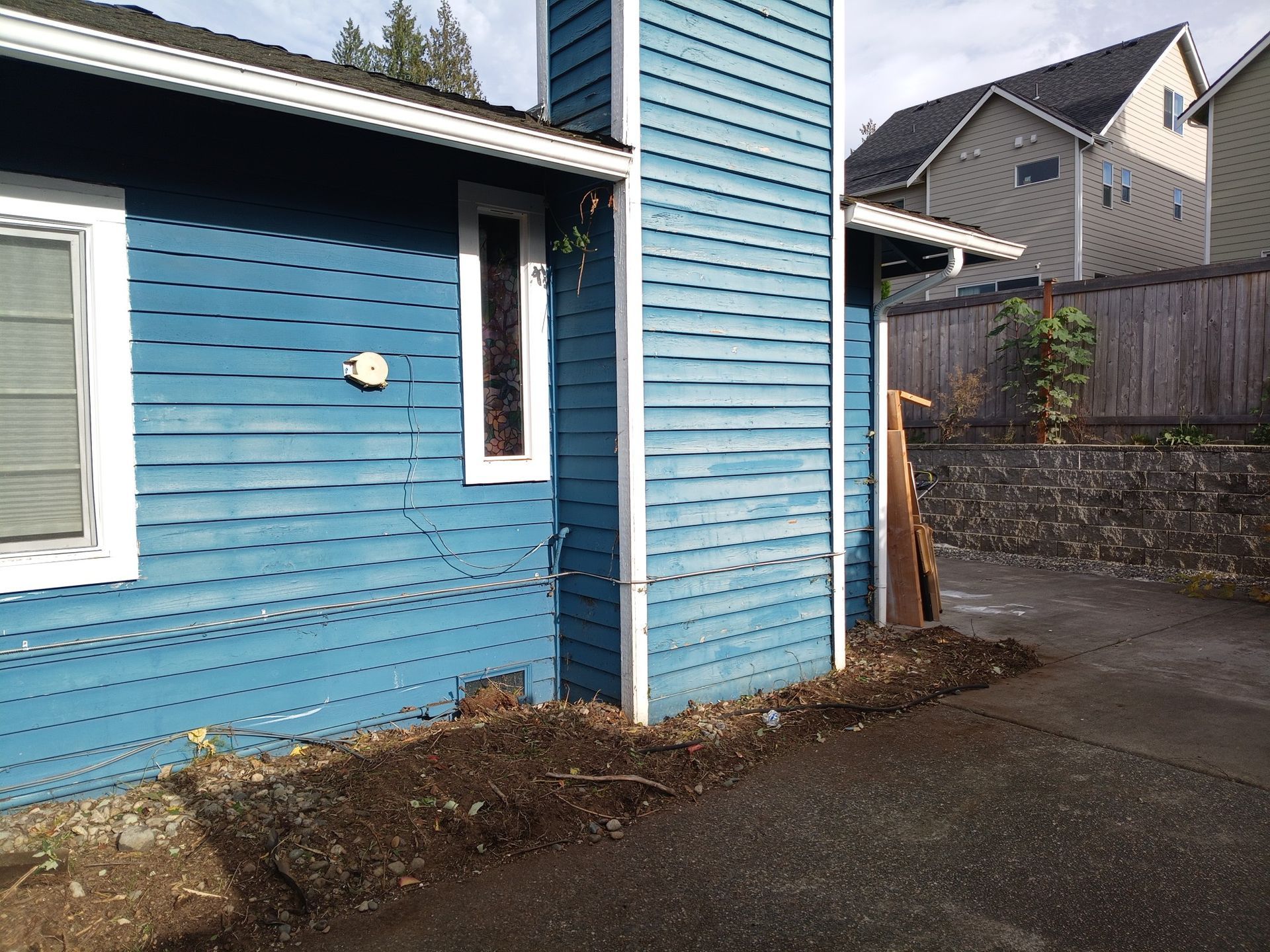 Ivy and blackberries removed