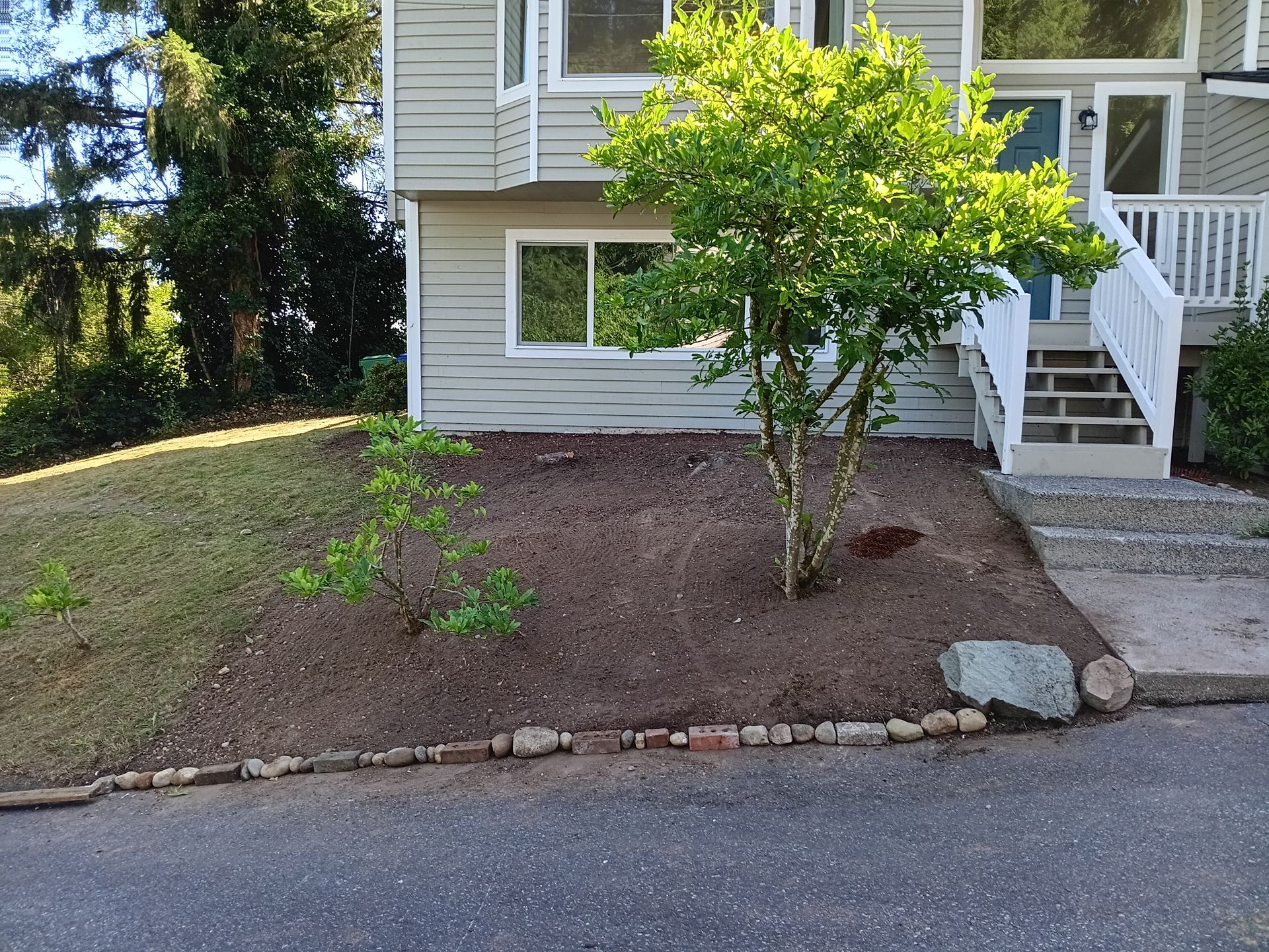 Yard Beautification