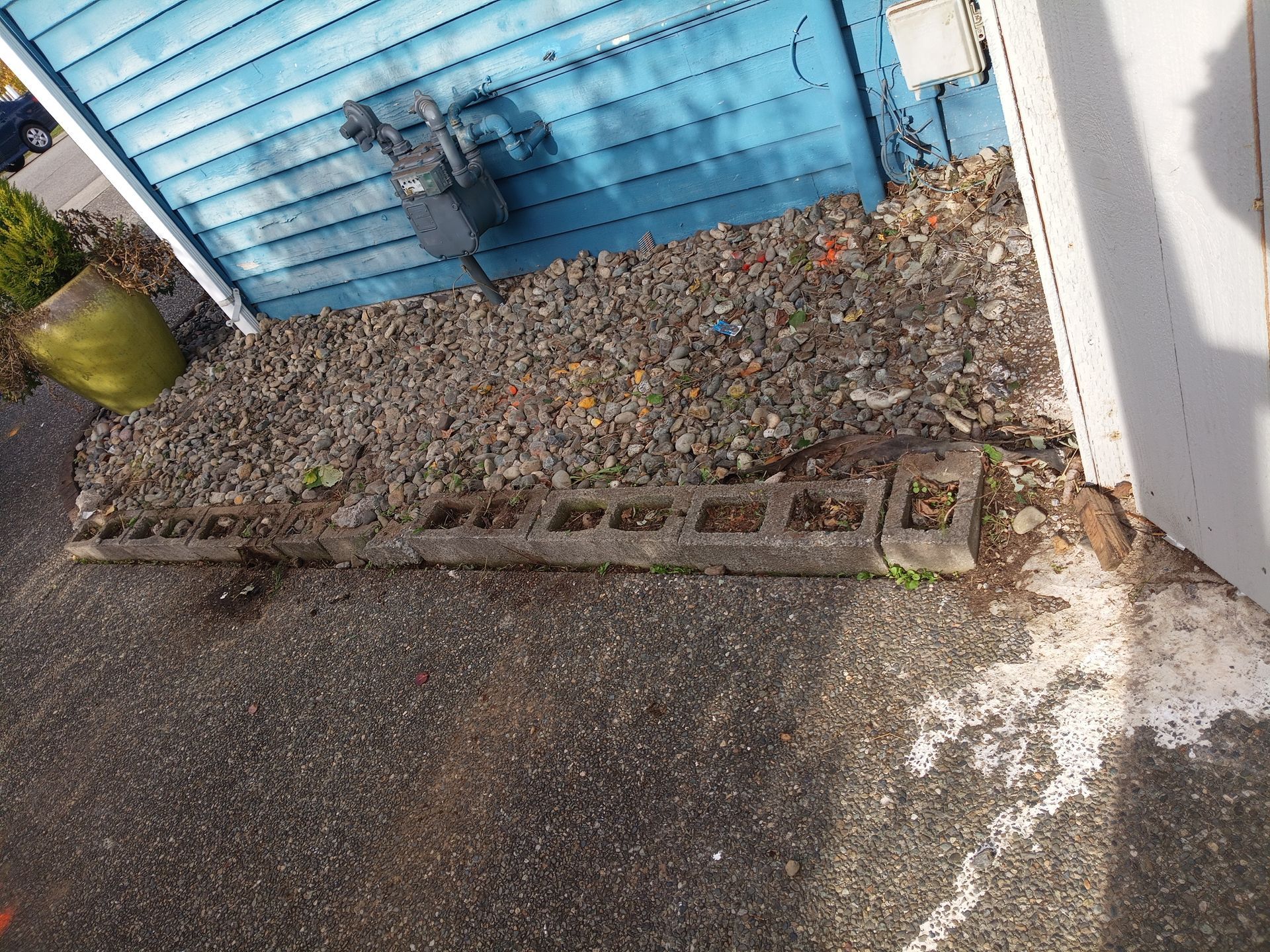 Ivy weed removal