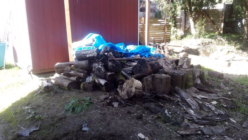 Yard cleanup