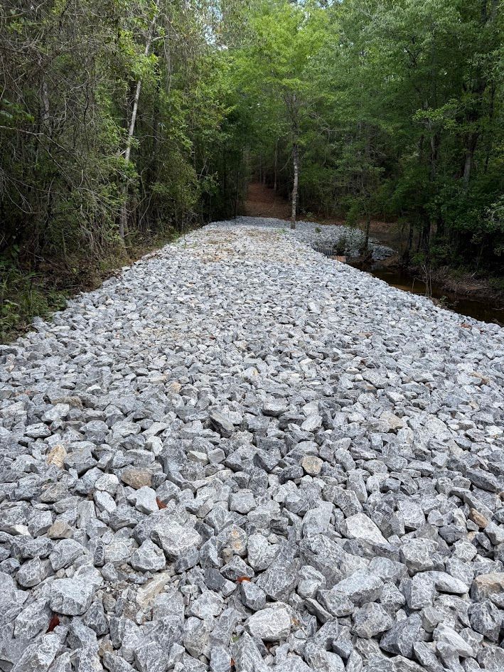 Rocky gravel path through dense green forest, leading into the distance.