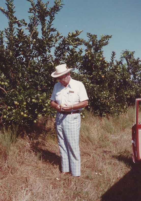 Person in a white hat stands in a grassy orchard, looking down at something in their hands.