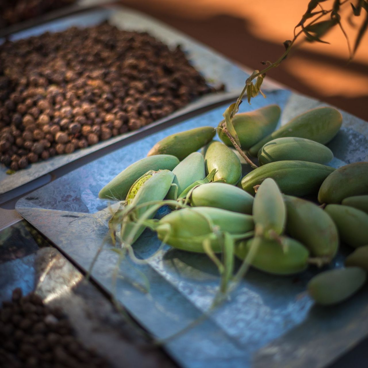 A bunch of green beans are sitting on a metal tray