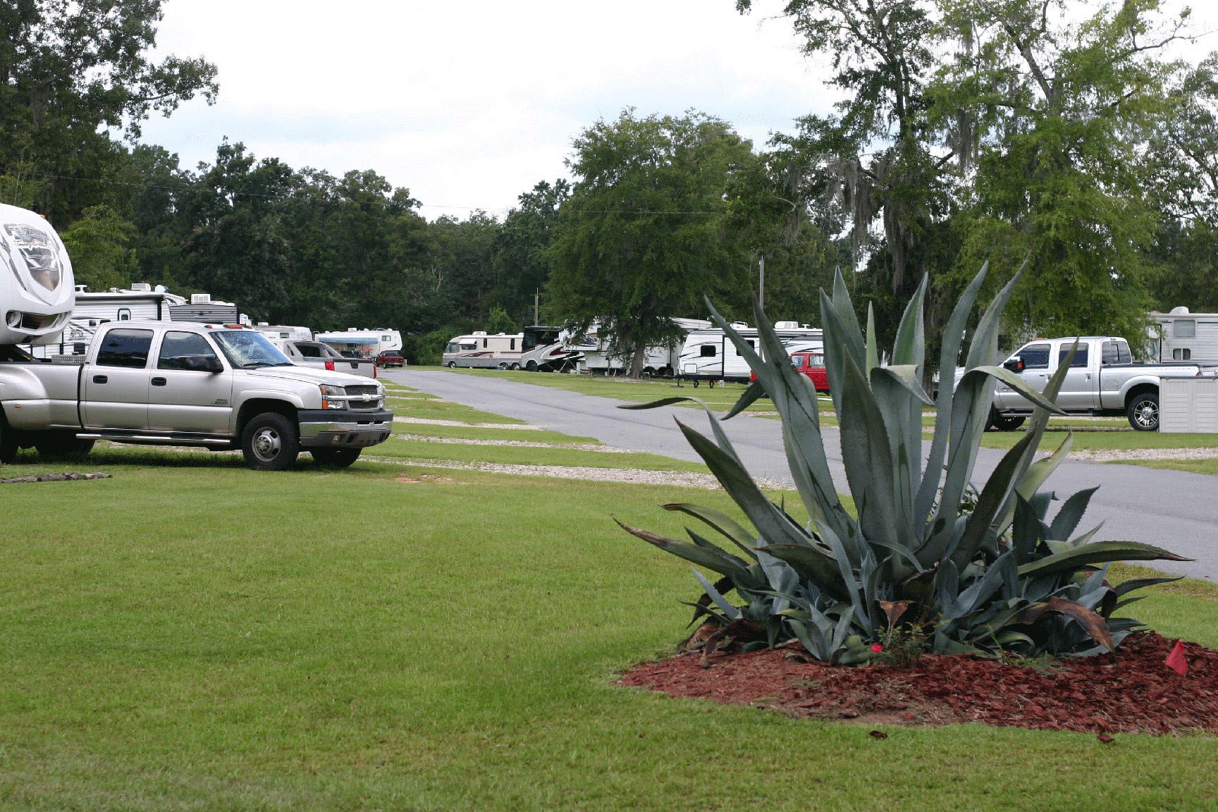 Valdosta RV Park Valdosta Oaks RV Park