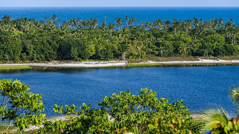 Lago azul rodeado por uma exuberante floresta tropical verde sob um céu límpido.