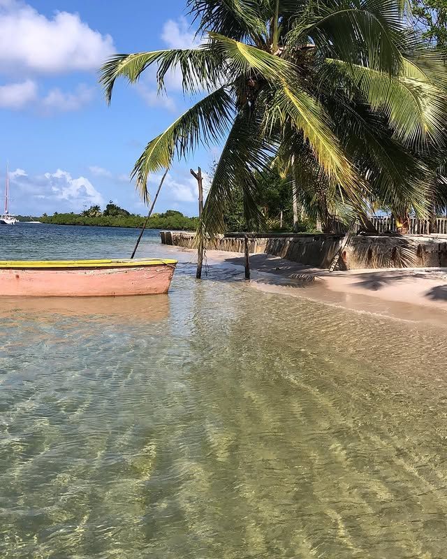 Praia tropical com água cristalina, palmeiras e um pequeno barco rosa perto da costa.