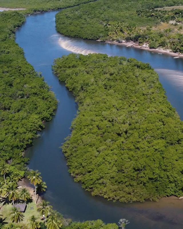 Vista aérea de um rio azul sinuoso atravessando uma densa floresta de mangue verde.