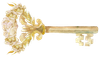 A key with flowers on it on a white background.