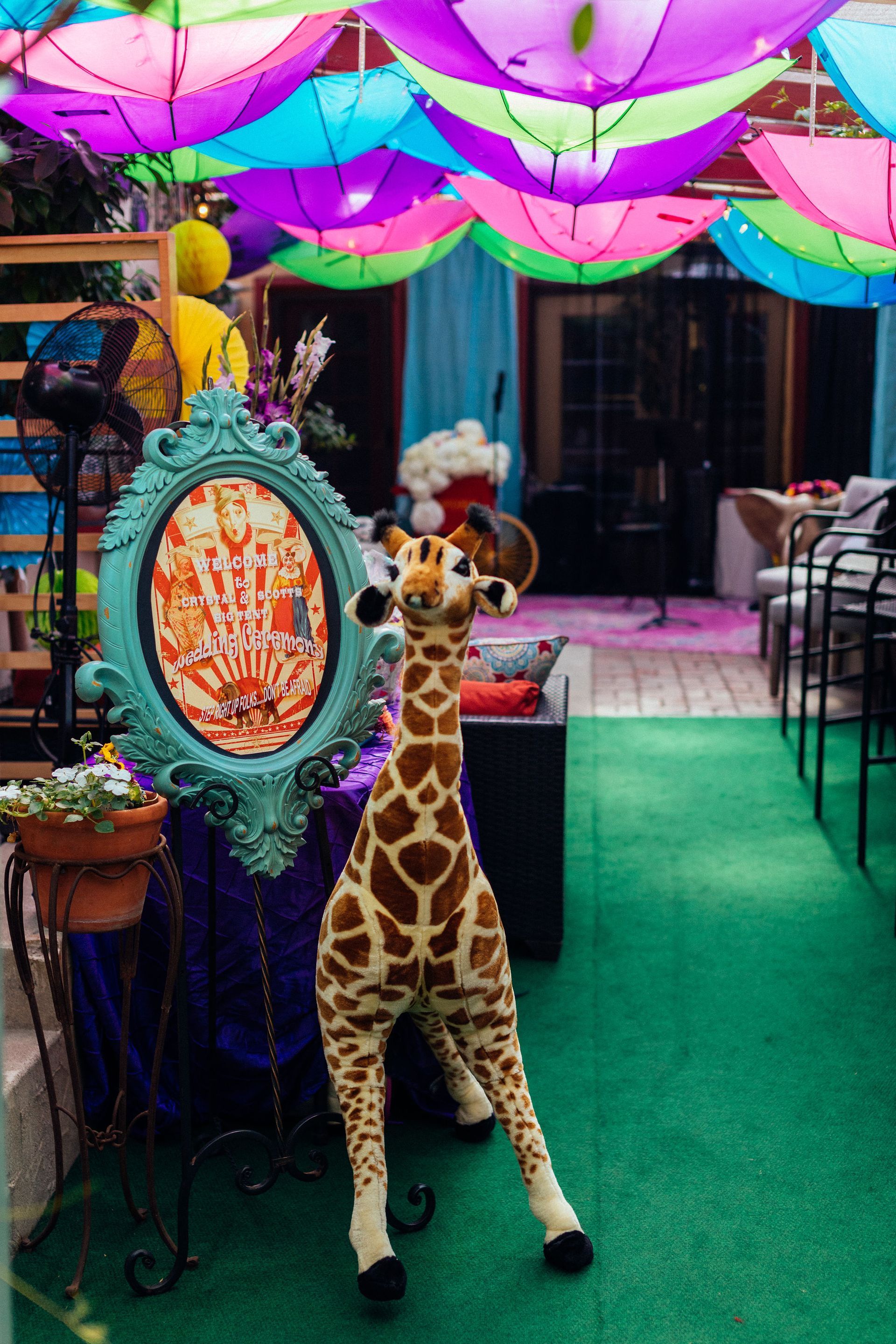 A stuffed giraffe is standing in front of a table with umbrellas hanging from the ceiling.