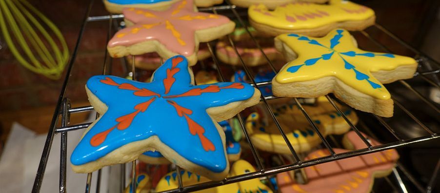 A bunch of starfish shaped cookies are sitting on a cooling rack.