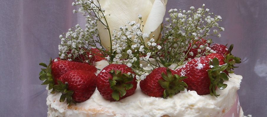 Strawberries and cream angel food cake with baby's breath. made by bexx secret garden.