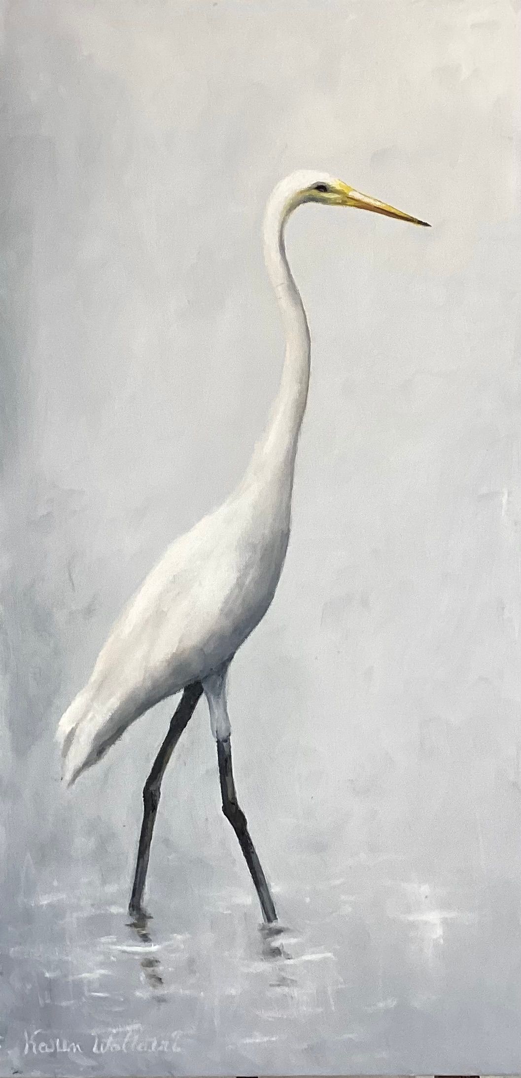 White egret wading in water, soft grey background.