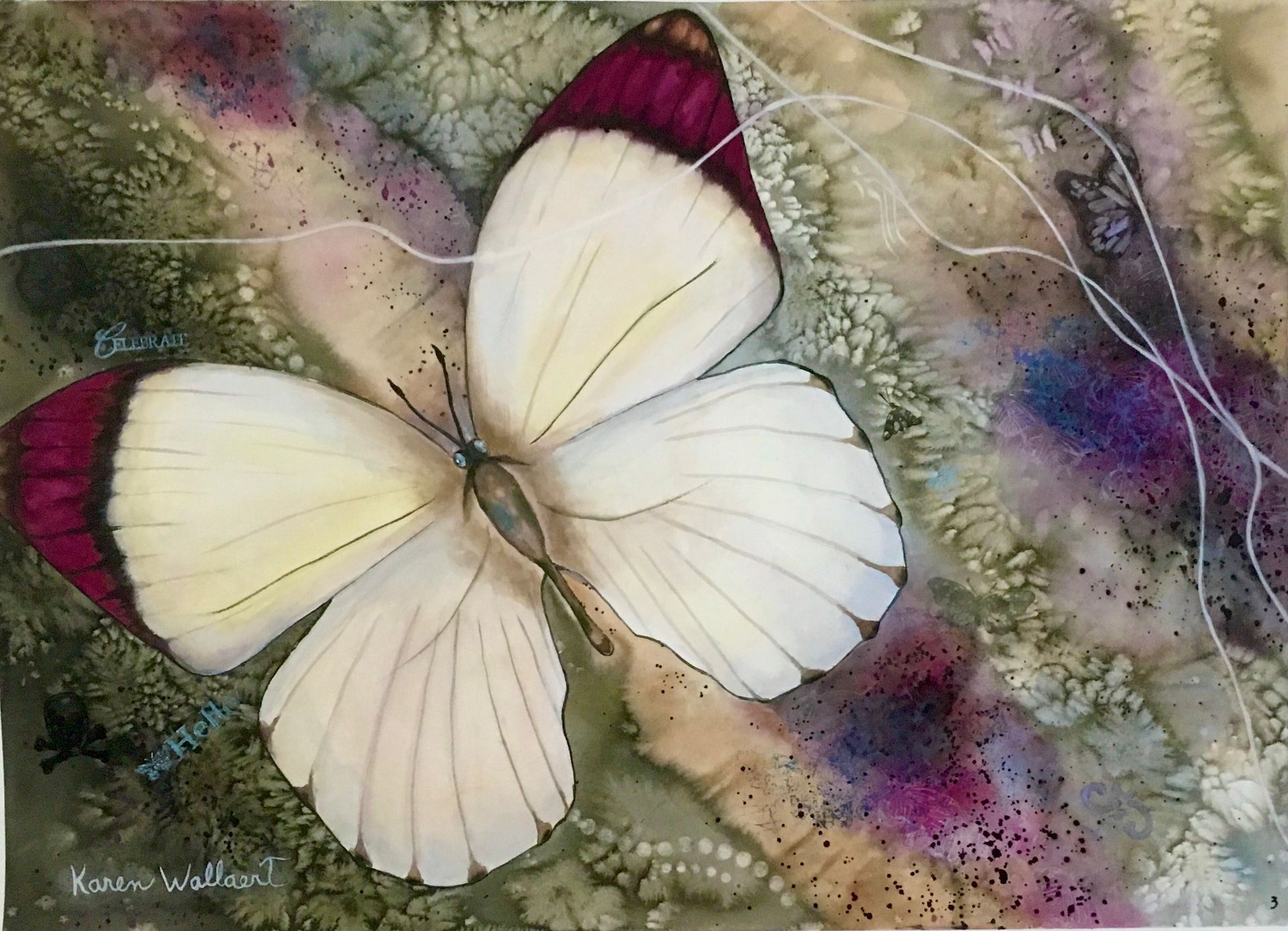 Butterfly with white wings and maroon tips resting on a colorful, textured background.
