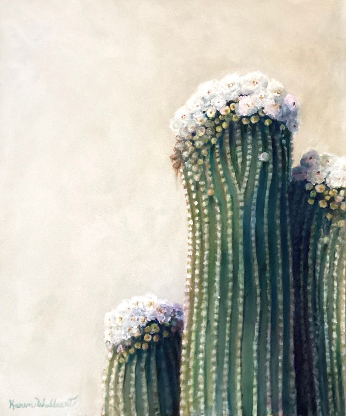 Saguaro cacti with white blossoms against a neutral background.
